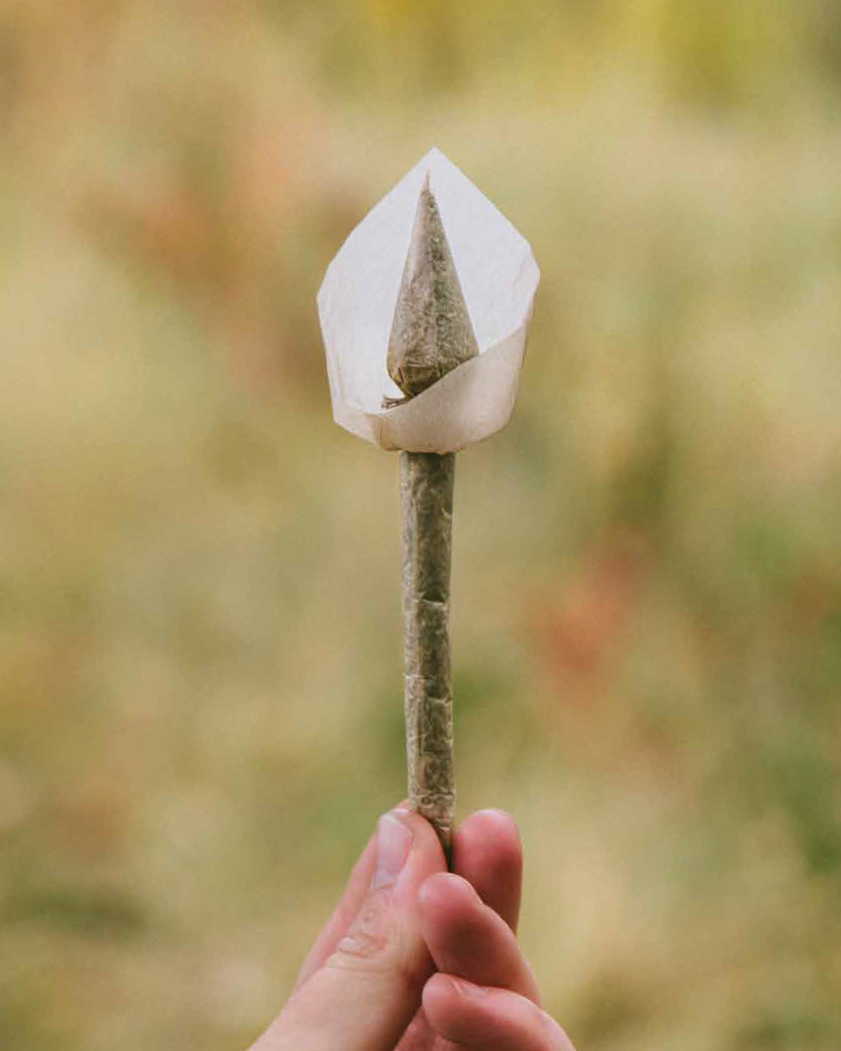Tulip joint koncept