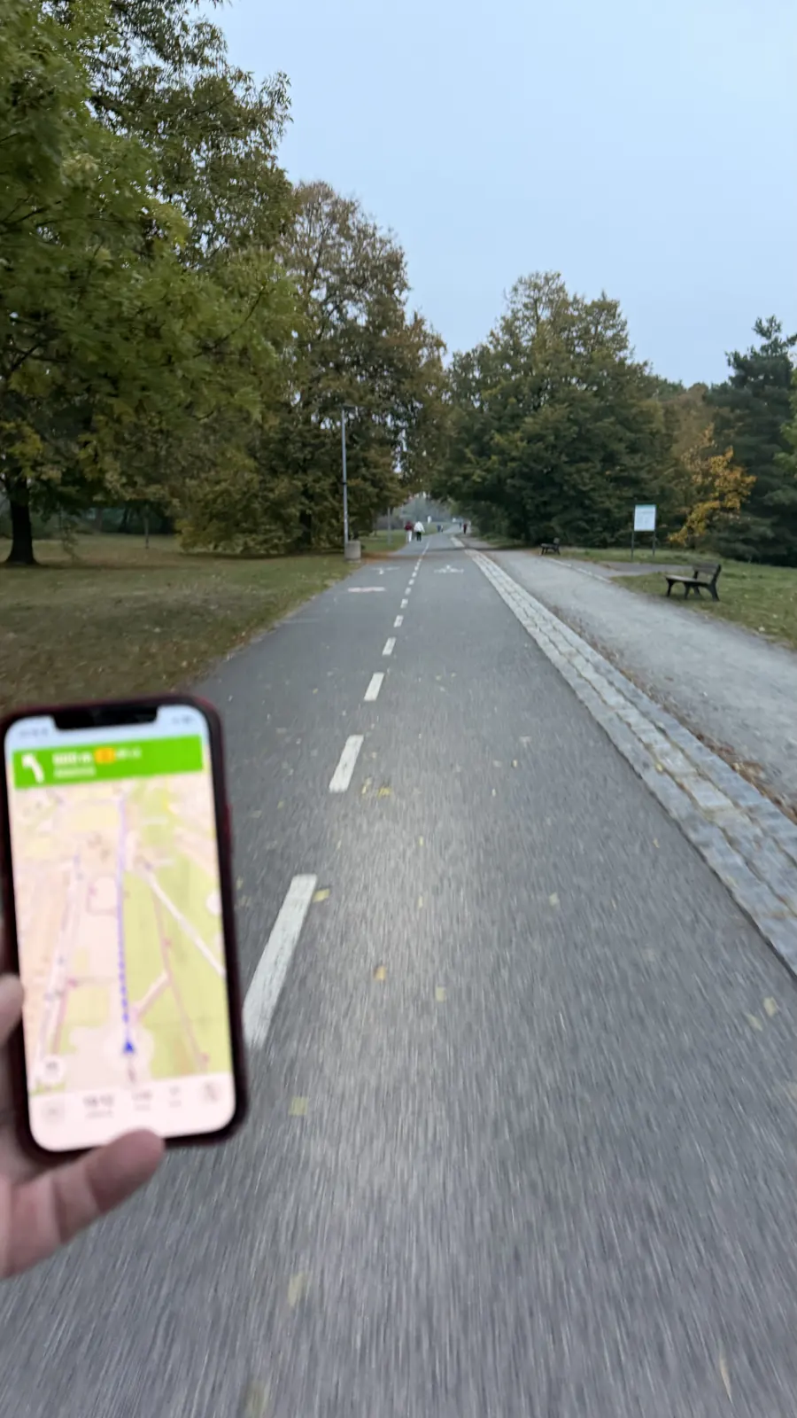 Asfaltová dráha s dělicí čárou mezi stromy, telefon s navigací v popředí