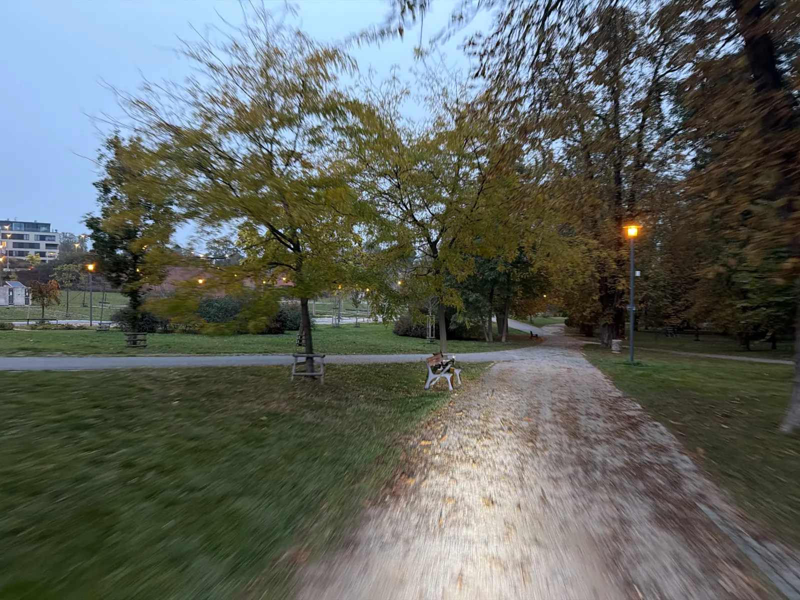 Rozsvícené lampy, lavičky a podzimní park.