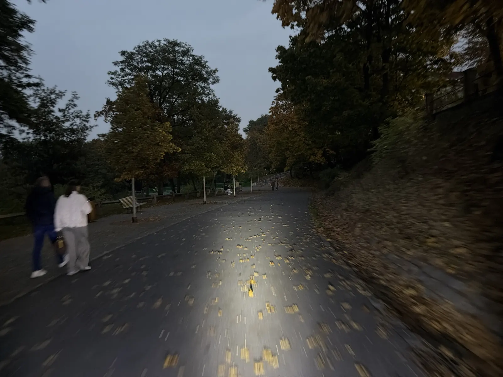 Cesta mezi podzimními stromy, s chodci a lavičkami.