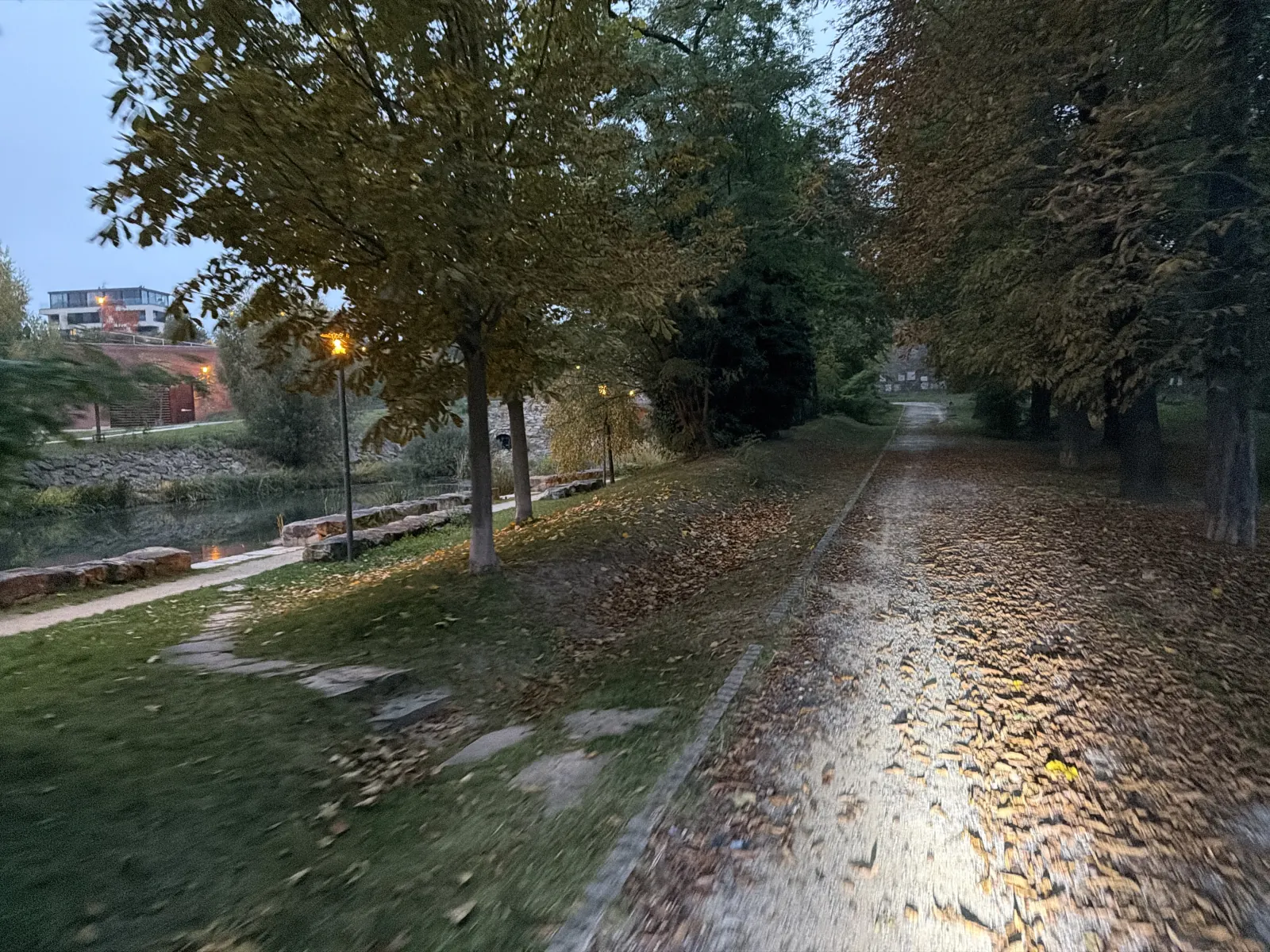 Listí na dlážděné cestě, voda po levé straně a rozsvícené lampy.