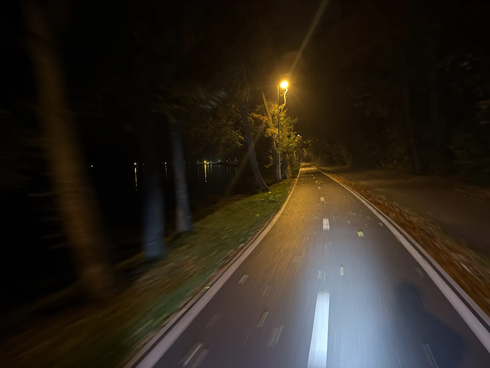Stezka podél řeky pod žlutými lampami, středová čára a listí na asfaltu.